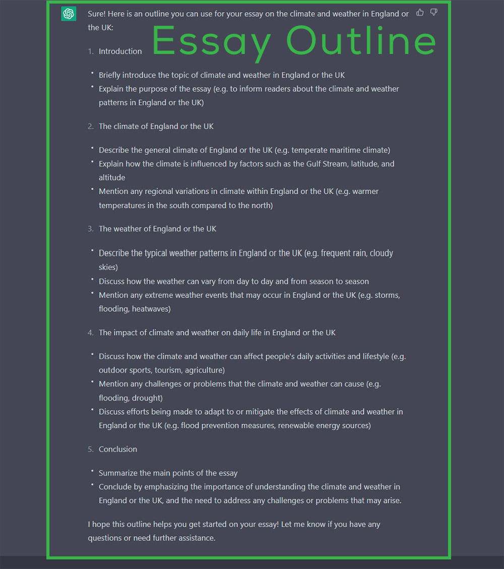 This image shows the document outline for the proposed essay.